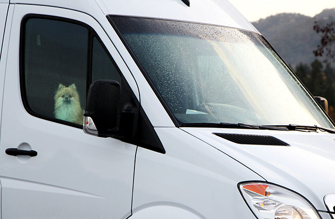 A car can rapidly cool down in cold weather; it becomes like a refrigerator and can rapidly chill your pet.